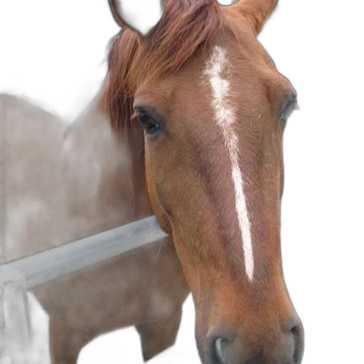 animal, staff, weapon, hat transparent PNG cut-out