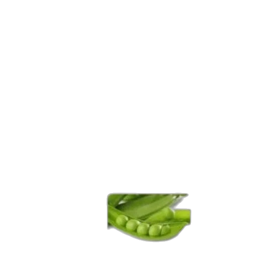 shoes, dragon, animal, weapon transparent PNG cut-out