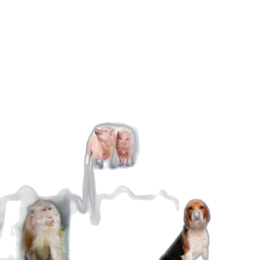 animal, staff, hair, concept art transparent PNG cut-out