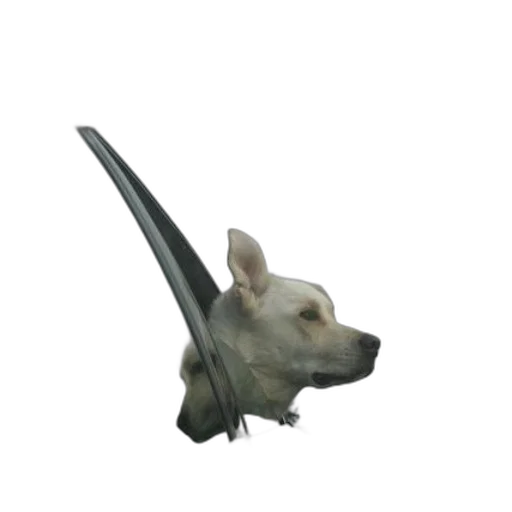 animal, creature, staff, dragon transparent PNG cut-out