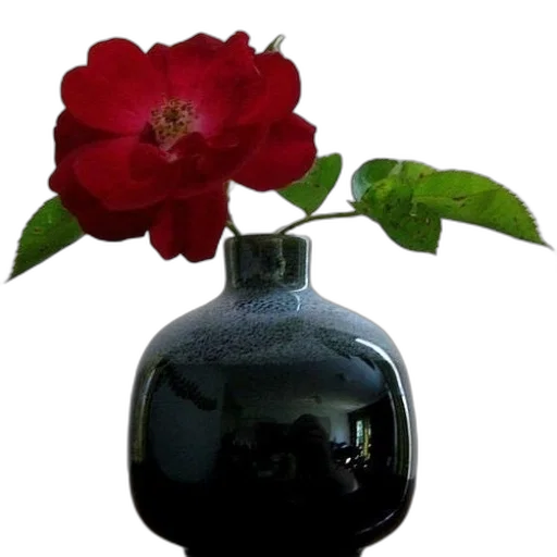 flower, bottle, crown, jewelry transparent PNG cut-out