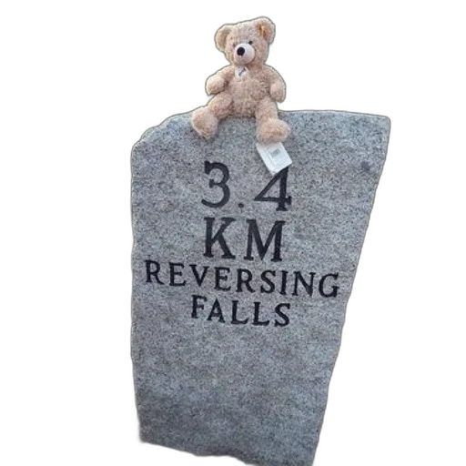 3d render, teddy, bear, sits transparent PNG cut-out