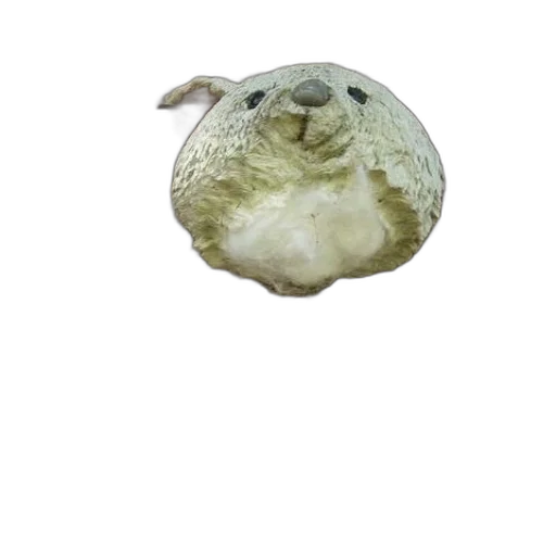 animal, creature, face, hat transparent PNG cut-out