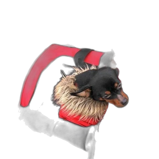 mask, animal, staff, creature transparent PNG cut-out