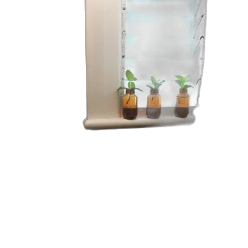 bottle, 3d render, minimalist, bathroom transparent PNG cut-out