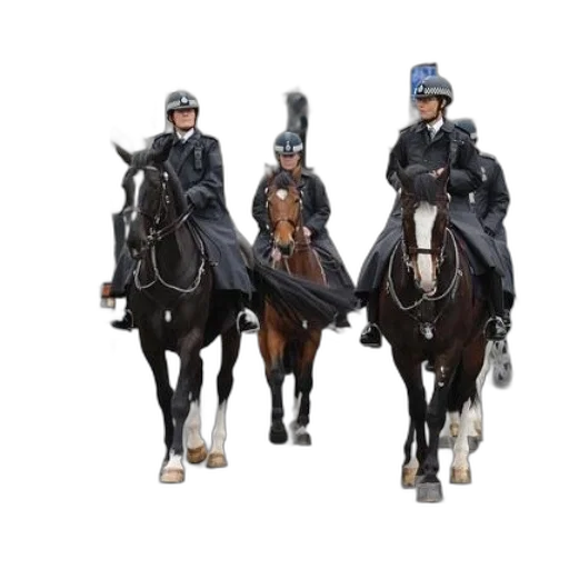 staff, police, officers, horseback transparent PNG cut-out