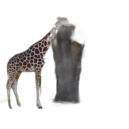 animal, dress, creature, jacket transparent PNG cut-out