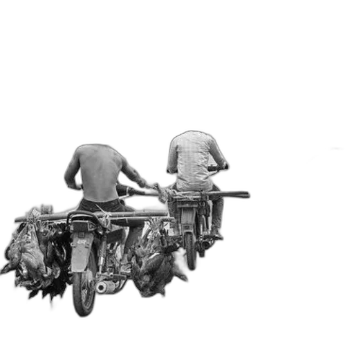 car, robot, crown, hair transparent PNG cut-out