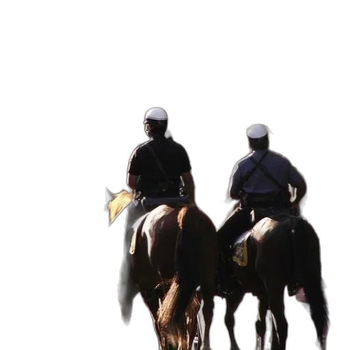 staff, animal, hat, concept art transparent PNG cut-out