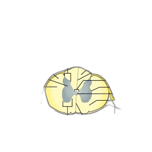 mask, umbrella, crown, weapon transparent PNG cut-out
