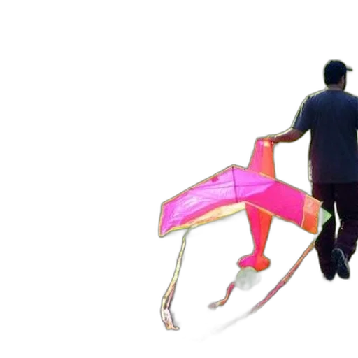 umbrella, creature, shoes, animal transparent PNG cut-out