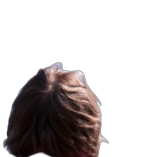 hair, crown, face, creature transparent PNG cut-out