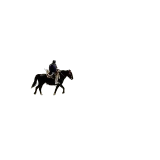 animal, hat, creature, car transparent PNG cut-out