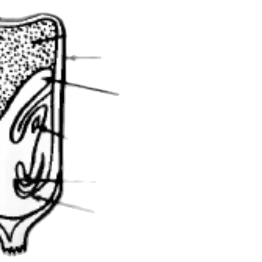 shoes, crown, face, staff transparent PNG cut-out