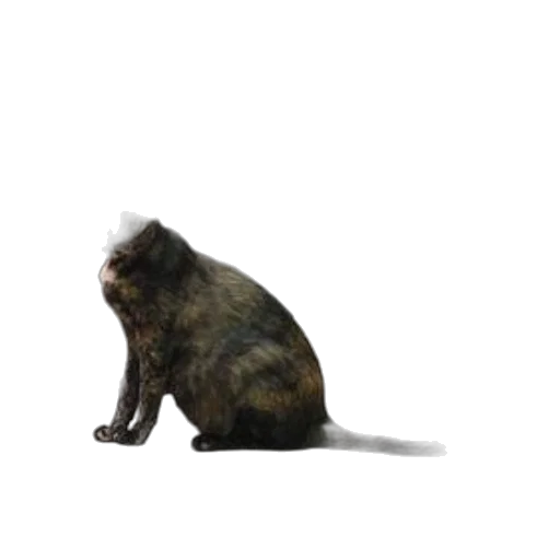animal, creature, staff, hair transparent PNG cut-out