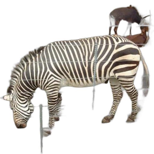 animal, staff, furniture, creature transparent PNG cut-out