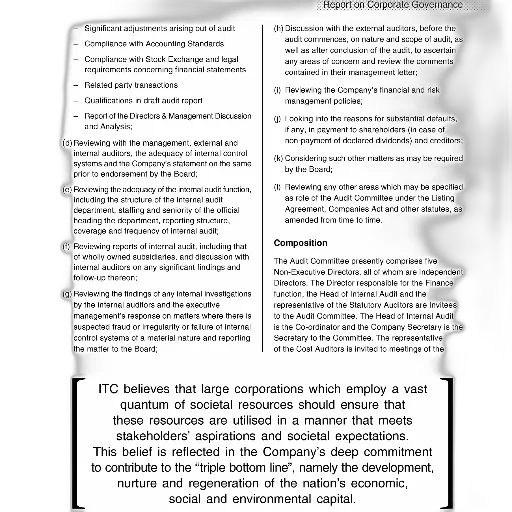 image, report, corporate, governance transparent PNG cut-out