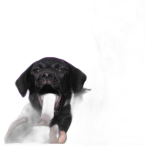 animal, creature, staff, face transparent PNG cut-out