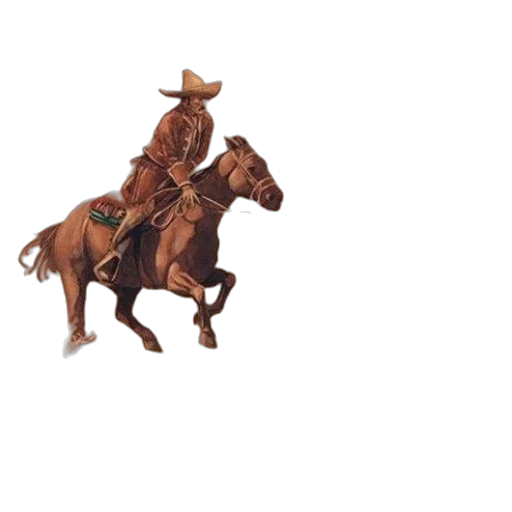 hat, animal, weapon, staff transparent PNG cut-out