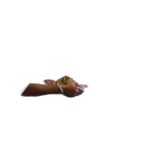 food, shoes, animal, creature transparent PNG cut-out