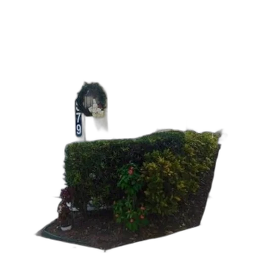 tree, staff, furniture, hair transparent PNG cut-out