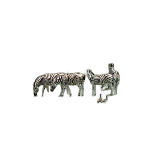 animal, creature, furniture, jewelry transparent PNG cut-out