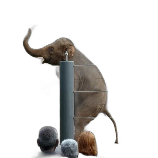 animal, staff, concept art, photorealistic transparent PNG cut-out