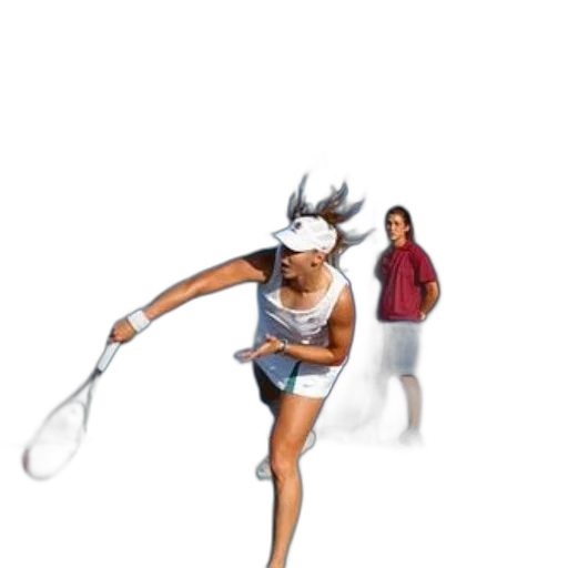 staff, creature, weapon, animal transparent PNG cut-out