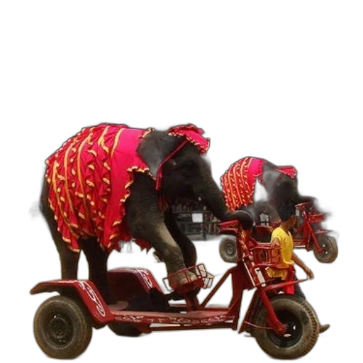 animal, car, 3d render, photorealistic transparent PNG cut-out