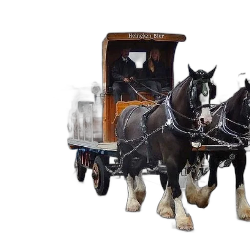 car, animal, robot, photorealistic transparent PNG cut-out