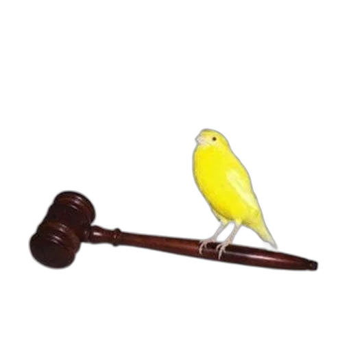 staff, weapon, jewelry, animal transparent PNG cut-out