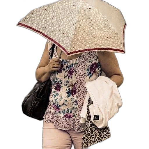 umbrella, hat, jacket, dress transparent PNG cut-out
