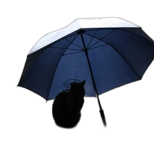 umbrella, hat, jacket, staff transparent PNG cut-out