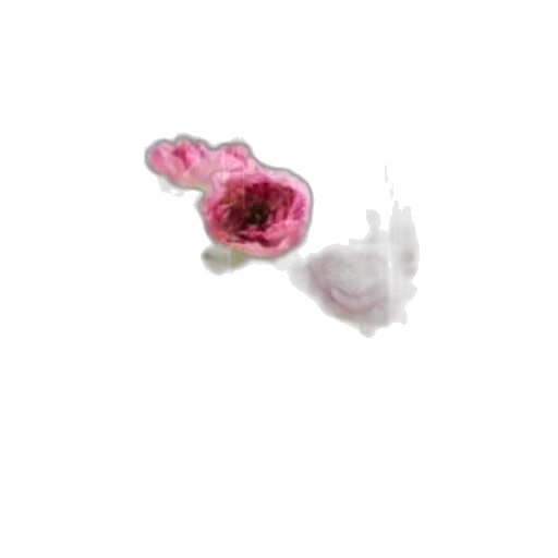 flower, jewelry, weapon, crown transparent PNG cut-out