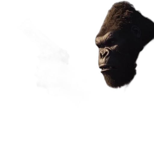 animal, face, creature, mask transparent PNG cut-out