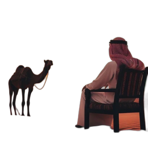 furniture, animal, concept art, 3d render transparent PNG cut-out