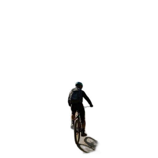 animal, creature, jacket, staff transparent PNG cut-out