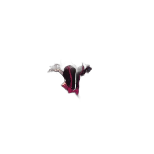 shoes, flower, hair, staff transparent PNG cut-out