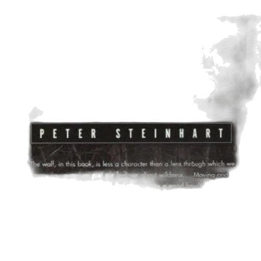 concept art, cover, company, wolves transparent PNG cut-out