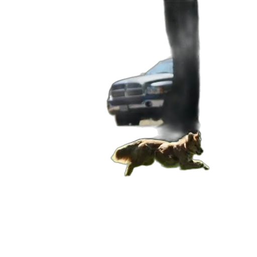 car, animal, dragon, creature transparent PNG cut-out