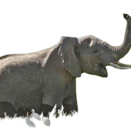 animal, creature, staff, weapon transparent PNG cut-out