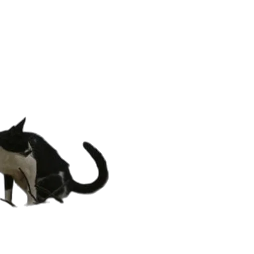 animal, dragon, creature, staff transparent PNG cut-out