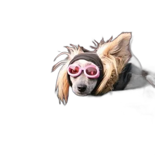 animal, creature, staff, mask transparent PNG cut-out
