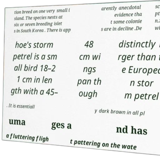 detailed, description, swinhoe, storm transparent PNG cut-out
