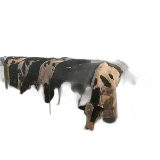 jacket, animal, hat, mask transparent PNG cut-out