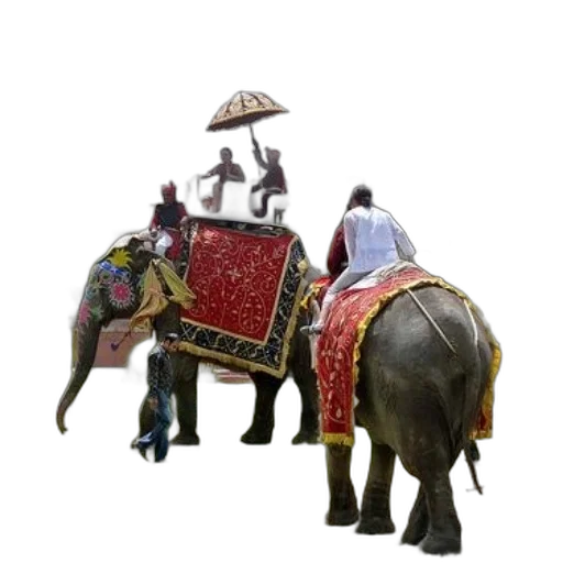 staff, umbrella, animal, 3d render transparent PNG cut-out