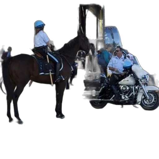 staff, police, officer, horse transparent PNG cut-out