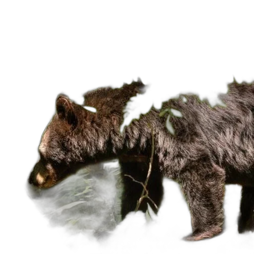 animal, creature, dragon, staff transparent PNG cut-out