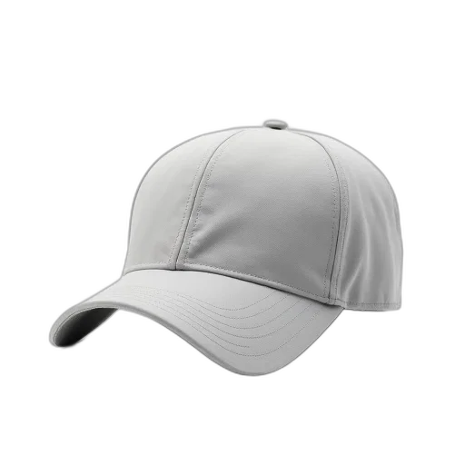 hat, staff, crown, jacket transparent PNG cut-out