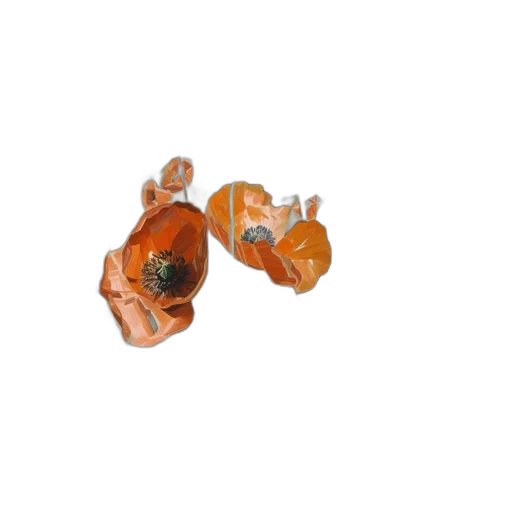 jewelry, crown, flower, mask transparent PNG cut-out
